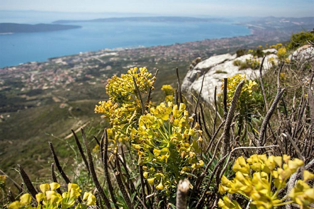 Apartmani Strada Kastela Dış mekan fotoğraf